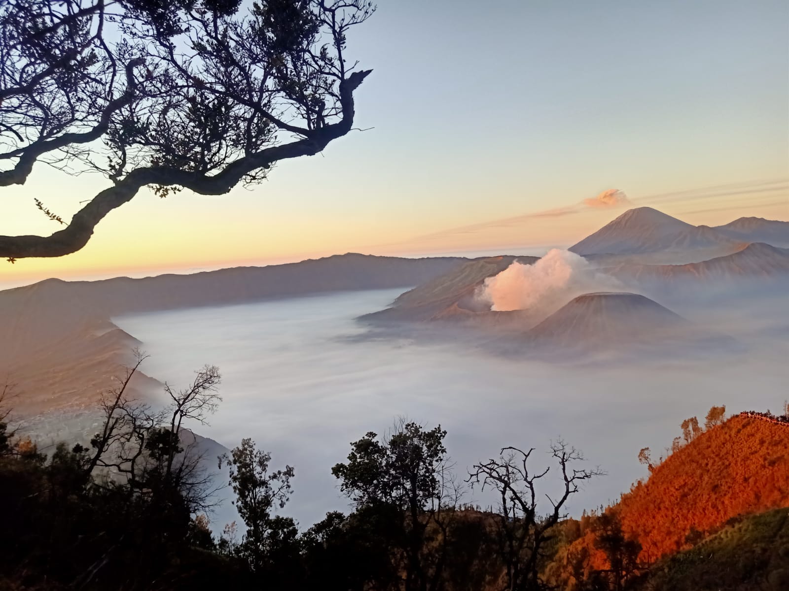 Adventure Bromo