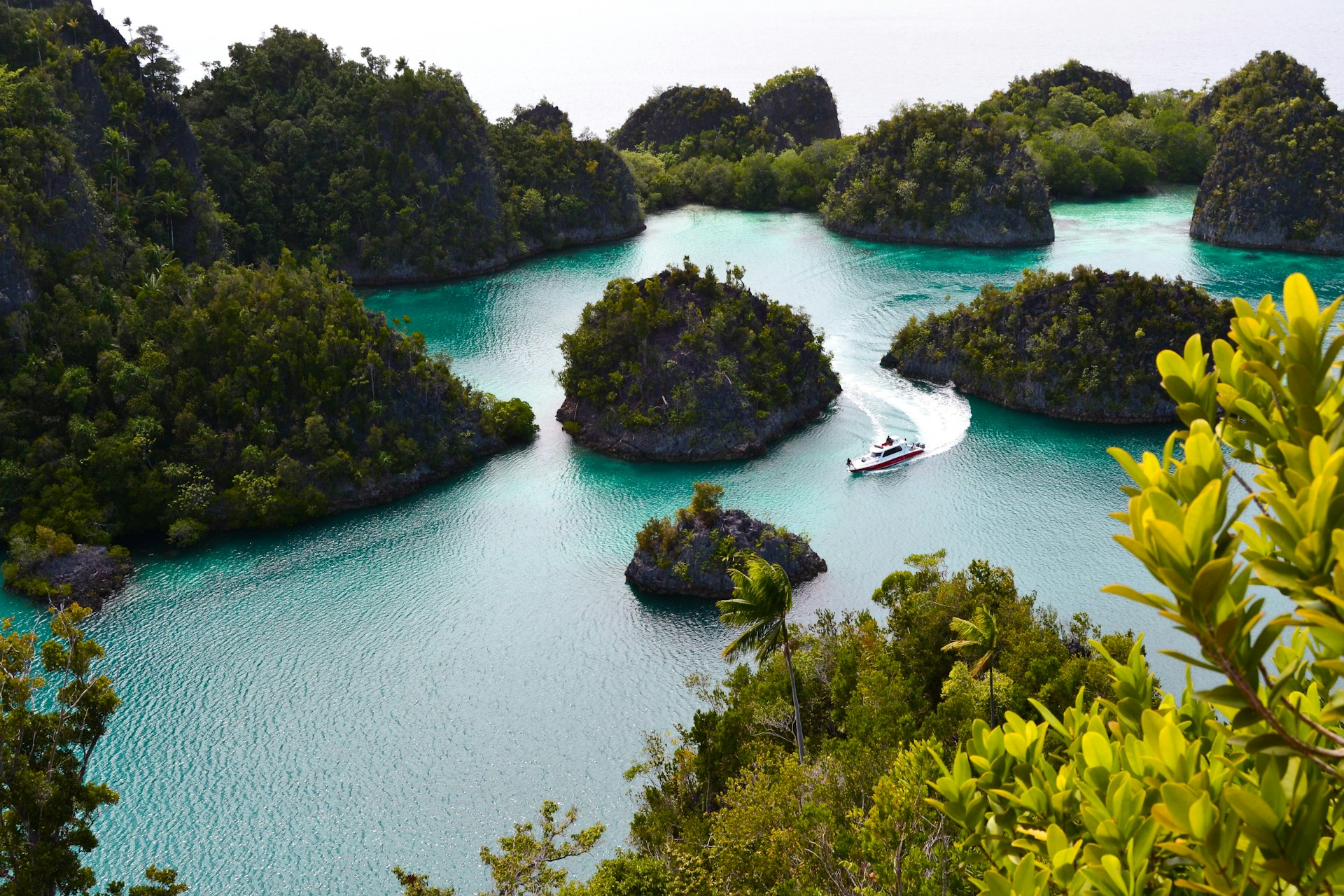 Paradise of Papua